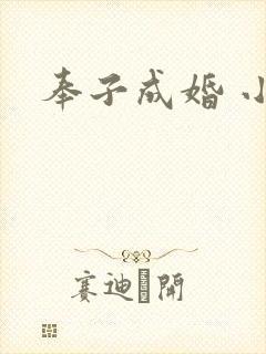 奉子成婚 小说