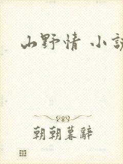 山野情 小说