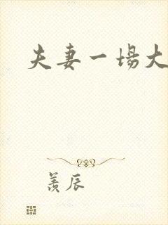 夫妻一场大结局