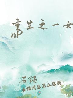 重生之一女九龙nP