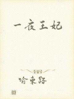 一夜王妃
