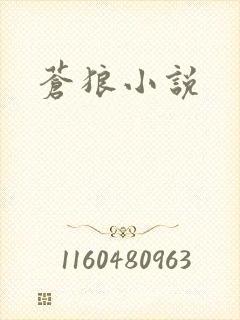 苍狼小说