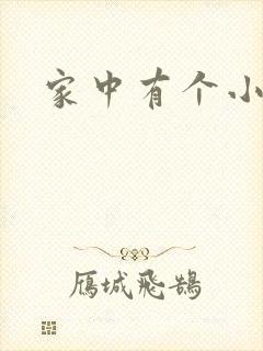 家中有个小姨子