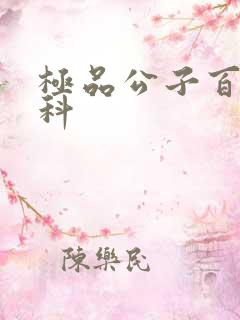 极品公子百度百科