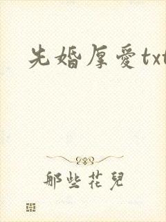 先婚厚爱txt
