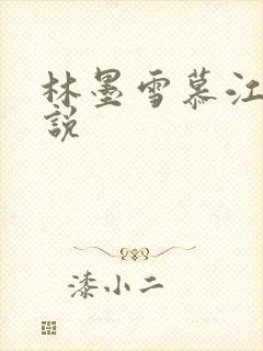 林墨雪慕江行小说