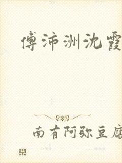 傅沛洲沈霞小说