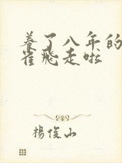 养了八年的金丝雀飞走啦