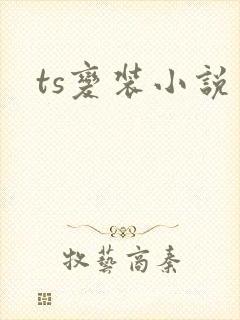 ts变装小说
