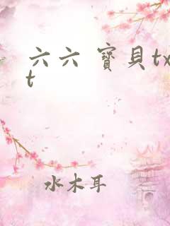 六六 宝贝txt