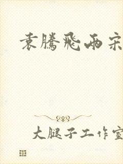 袁腾飞两宋风云