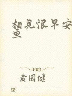 相见恨早安然的鱼