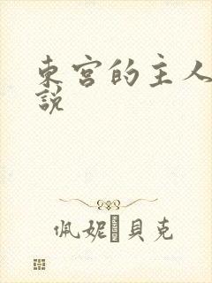 东宫的主人 小说
