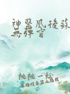 神医凰后苏小暖无弹窗