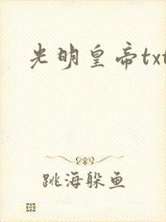 光明皇帝txt