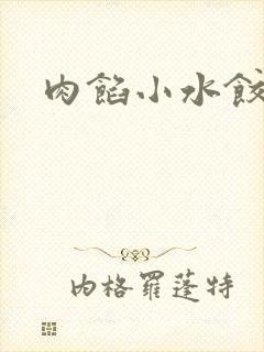 肉馅小水饺小说