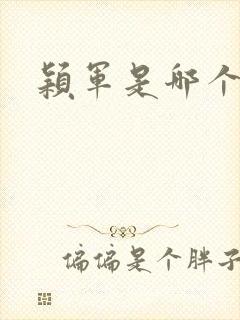 颖军是哪个军阀