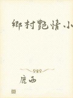 乡村艳情小说