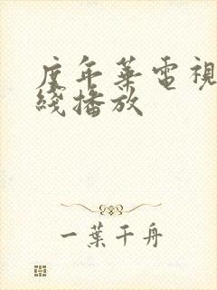 度年华电视剧在线播放