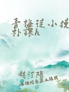 青梅从小摸到大补课h