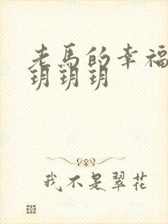 老马的幸福生活玥玥玥