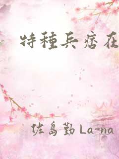 特种兵痞在都市