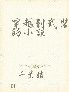 穿越到武装少女的小说