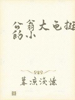 公翁大龟挺进我的小