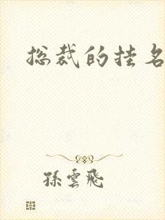 总裁的挂名娇妻