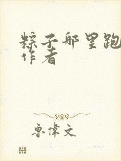 粽子哪里跑小说作者