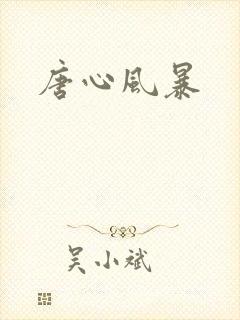 唐心风暴