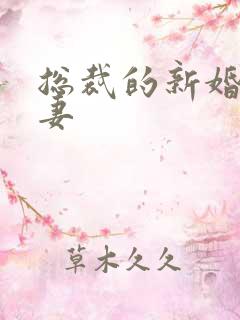 总裁的新婚下堂妻