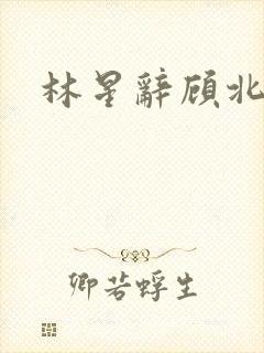 林星辞顾北彦