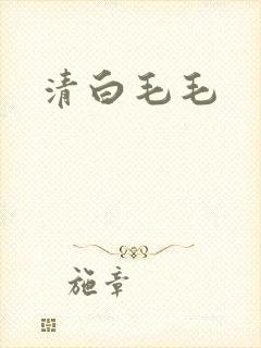清白毛毛