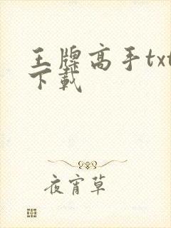 王牌高手txt下载