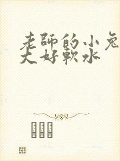 老师的小兔子好大好软水