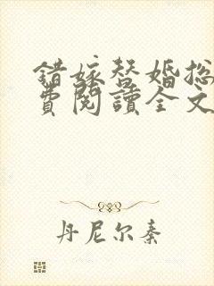 错嫁替婚总裁免费阅读全文