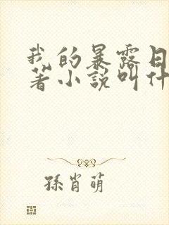 我的暴露日记原著小说叫什么