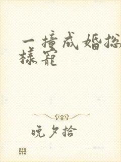 一撞成婚总裁花样宠