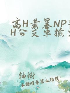高H黄暴NP辣H公交车检票员