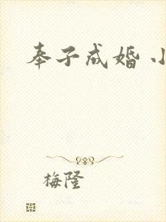 奉子成婚 小说