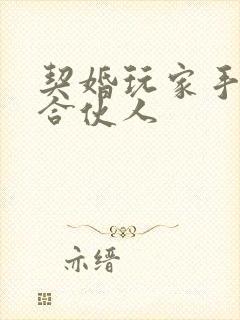 契婚玩家手册之合伙人