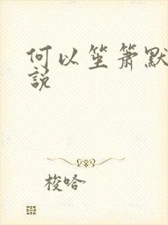 何以笙箫默 小说