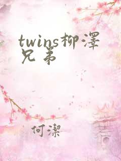 twins柳泽兄弟