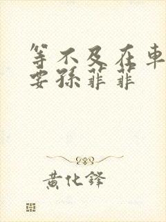 等不及在车里就要孙菲菲