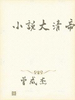 小说大清帝国