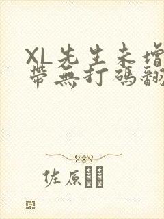 XL先生未增删带无打码翻译