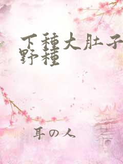 下种大肚子怀孕野种
