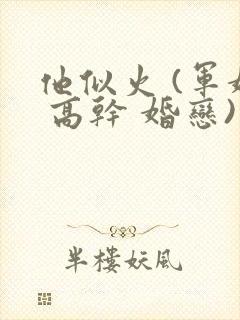 他似火 (军婚 高干 婚恋)小说免费阅读