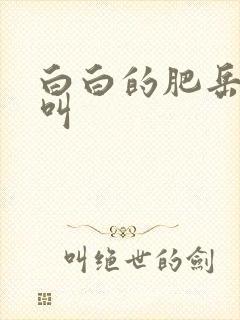 白白的肥岳嗷嗷叫